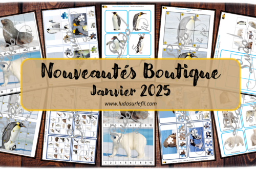 Nouveautés janvier 2025 - Boutique en ligne Ludo sur le fil - fichiers jeux pdf à télécharger et imprimer ou jeux imprimés envoyés à domicile - Thèmes Animaux du froid et de la banquise - Cartes type Montessori, photos sur fond blanc, cartes classifiées, nomenclature, tickets de lecture, cartes à pince, puzzles numériques, puzzles Trac, reproduis la grille - Photos - Association, mise en paire, lecture - jeux, activités - atelier autocorrectif multi niveaux donc progressif - Vocabulaire, lexique - Maternelle Cycle 2 - Autonomie - Hiver, pôles, Antarctique, Arctique - mslf