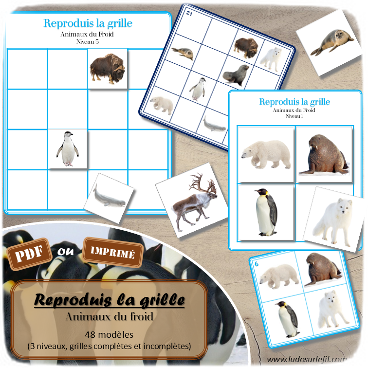 Reproduis la grille - Animaux du froid et de la banquise - 48 modèles à reproduire - Repérage dans l'espace et vocabulaire spatial - Variante pour travailler la mémoire - Variante à deux pour le langage oral - Dicte, décris la grille pour que l'autre jouer la reproduise - jeu et atelier autonome Maternelle (Cycle 1) et Primaire (Cycle 2) - PDF à télécharger et à imprimer ou jeu imprimé - difficulté progressive - repérage spatial - se repérer dans une grille, dans un tableau - Thèmes hiver, pôles, Antarctique, Arctique - lslf