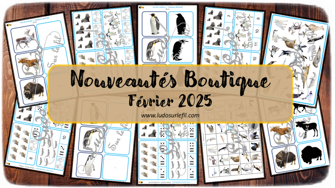 Nouveautés février 2025 - Boutique en ligne Ludo sur le fil - fichiers jeux pdf à télécharger et imprimer ou jeux imprimés envoyés à domicile - Thèmes Animaux du froid et de la banquise - jeu des ombres, de la loupe, cartes à pince - Dénombrement, cherche et trouve - Kit thématique - Photos - Association, mise en paire, lecture - jeux, activités - atelier autocorrectif multi niveaux donc progressif - Vocabulaire, lexique - Maternelle Cycle 2 - Autonomie - Hiver, pôles, Antarctique, Arctique - mslf